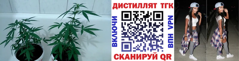 Дистиллят ТГК вейп Яблоновский